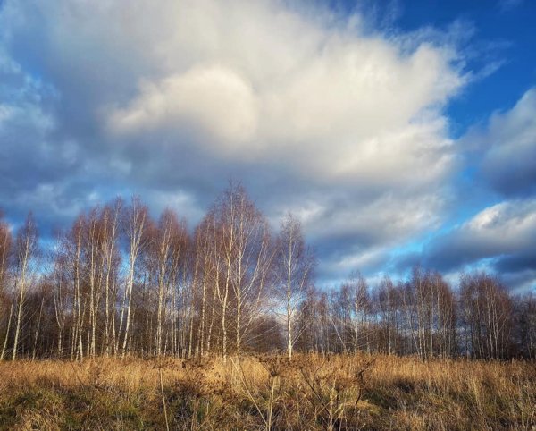 Удивительное солнечное небо в ноябре