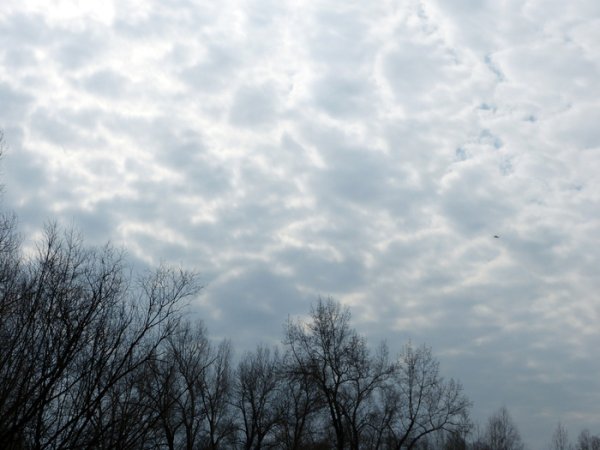 Апрельское небо картинки