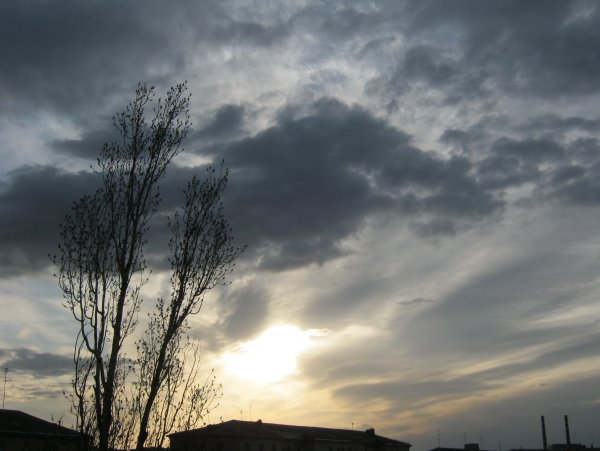 Серое солнце