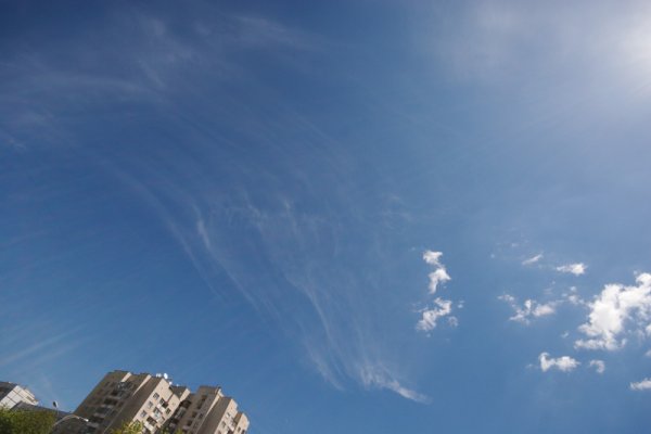 Ломтик апрельского неба объявление