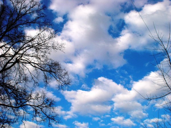 Чистое небо весной