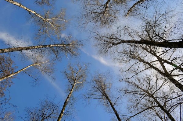 Солнечное небо