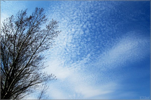 Хмурая Весна