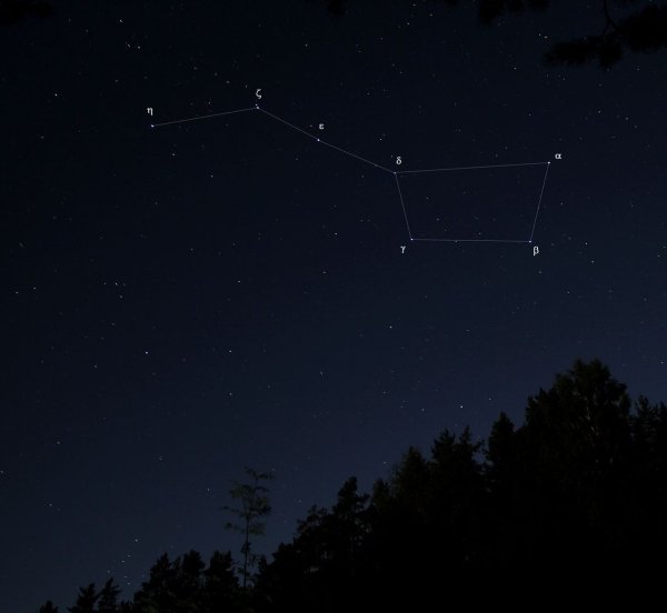 Большая Медведица Созвездие