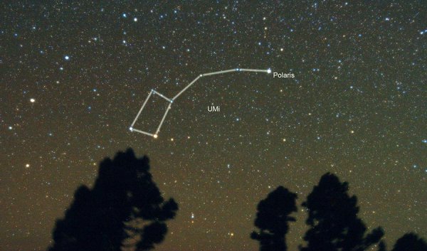 Малая Медведица и Полярная звезда на небе