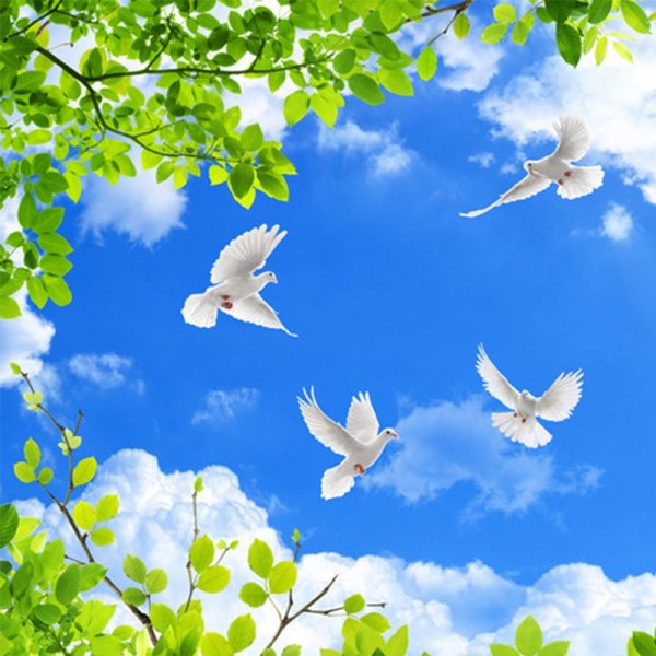 Белые голуби в небе