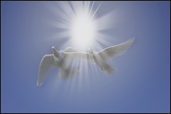 Ангельское небо