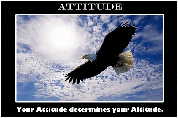 Символ свободы Орел