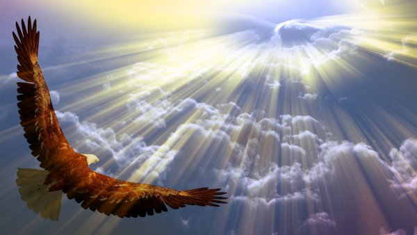 Парящий Орел