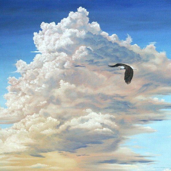 Полет в облаках