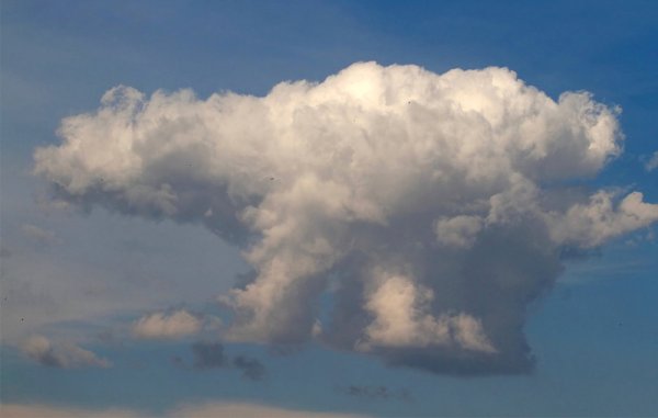 На что похожи облака