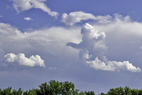 Облака в форме животных