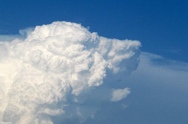 Облака похожие на животных