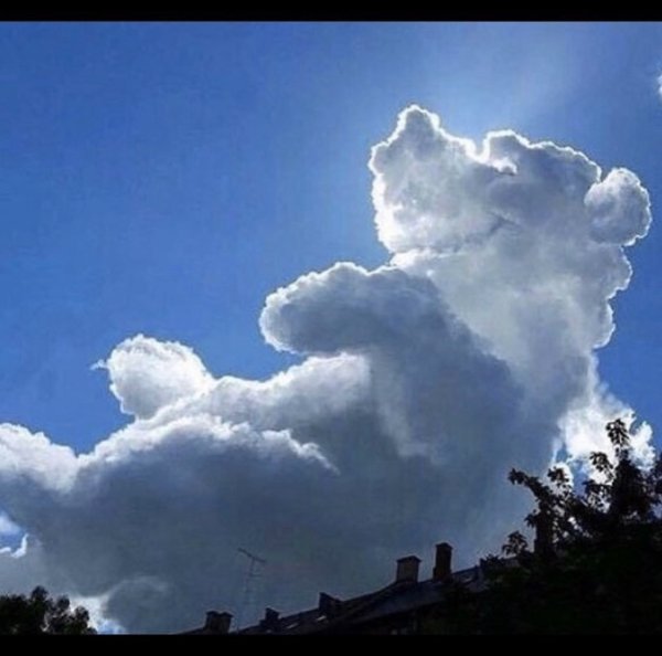 Живые облака