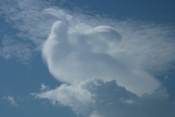 Облака в виде лошадей