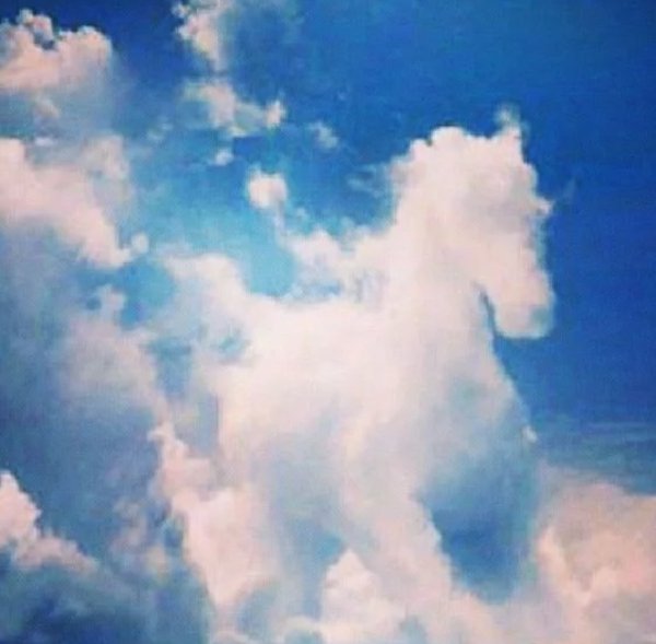 На что похоже облако