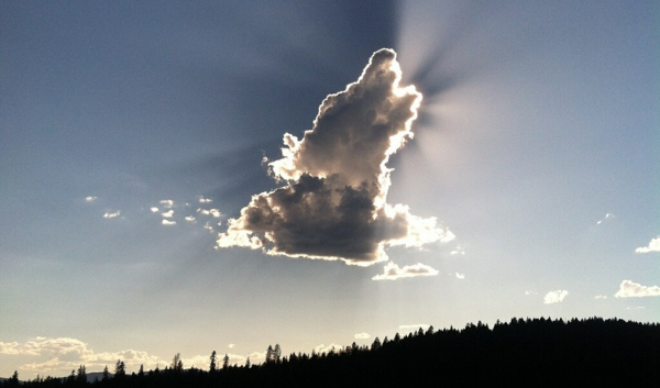 Облако в виде волка