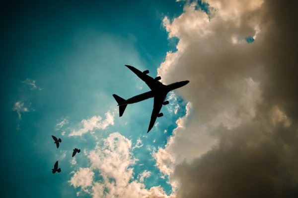 Самолет в небе над городом