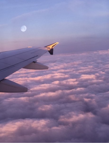 Рианнон Райдер стюардесса