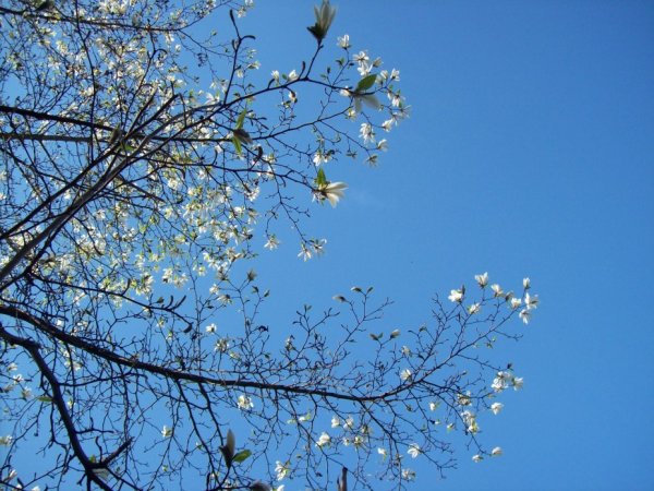 Небо в марте