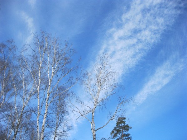 Голубое Весеннее небо