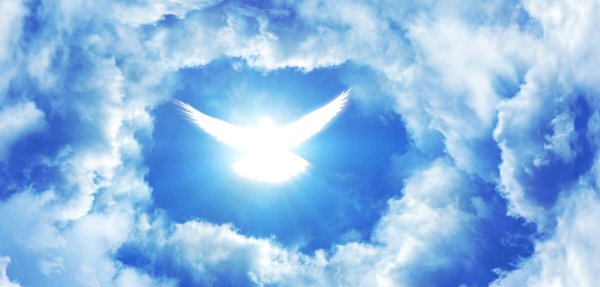 Рука помощи с небес