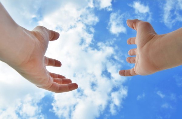 Ладони Бога