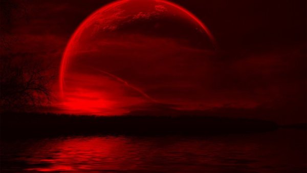 Лунное затмение 19 ноября 2021