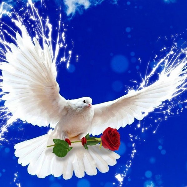 Karl Jenkins - the Essential