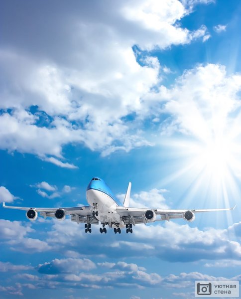Самолет в небе