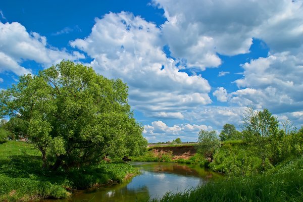 Фёдор Тютчев в небе тают облака