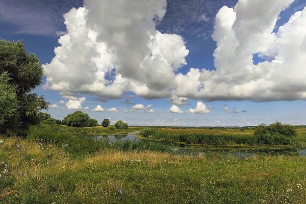 Тютчев облака