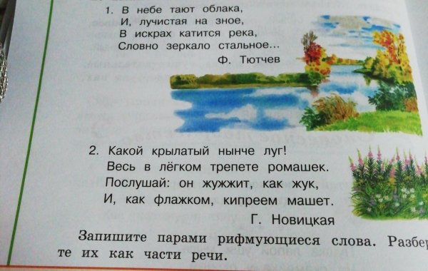 Стихотворение протприроду