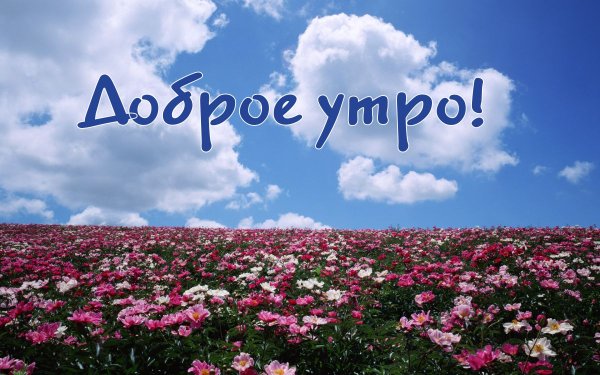 С добрым утром