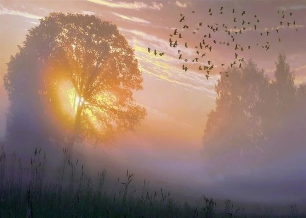 Сердечко в небе