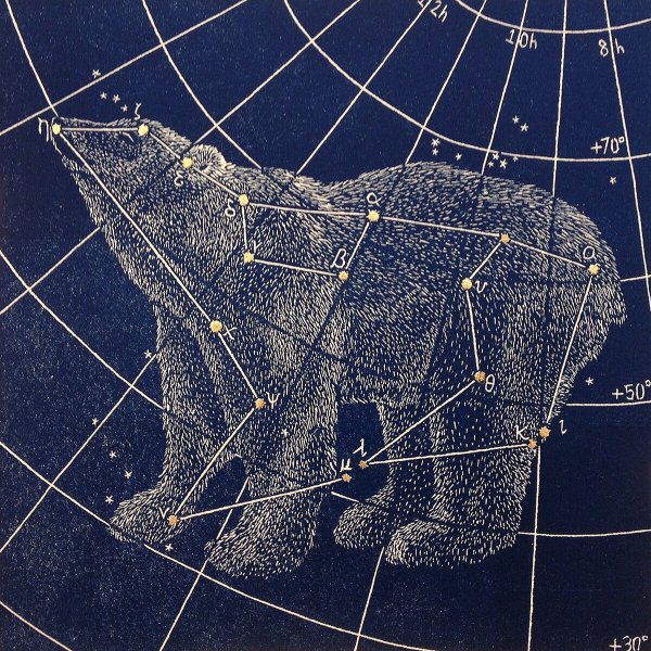 Срзвездие большая медвед