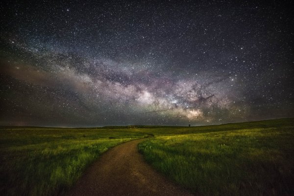 Млечный путь в поле