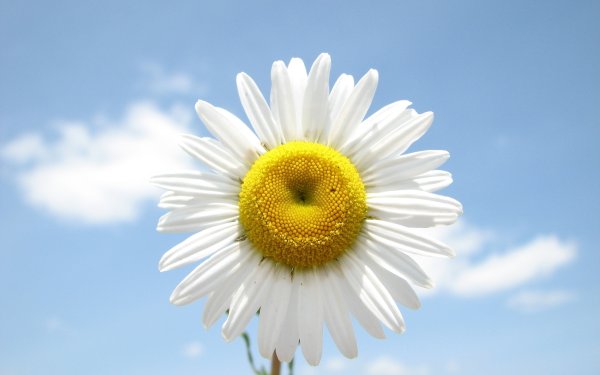 Природа солнце