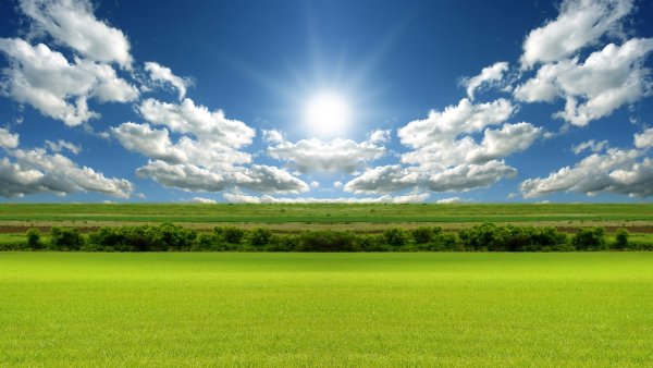 Поле панорама