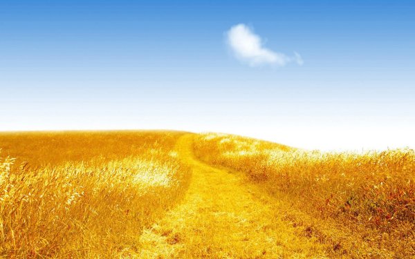 Поляна и небо