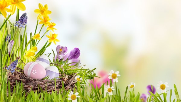 Пасхальное яйцо