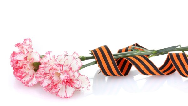 Пусть в этот день умолкнут звуки пусть время бег замедлит свой