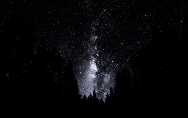 Ночное небо со звездами
