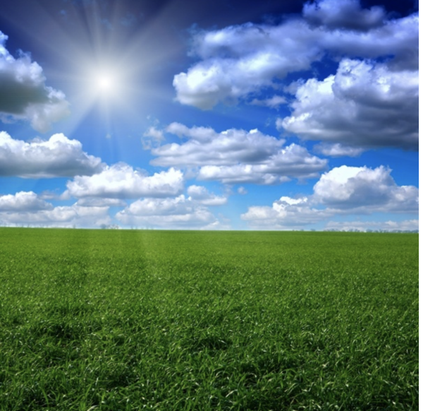 Полянка небо луг