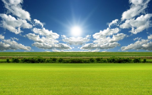 Трава и небо