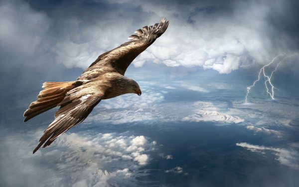 Маяковский бронза мускулов и свежесть кожи