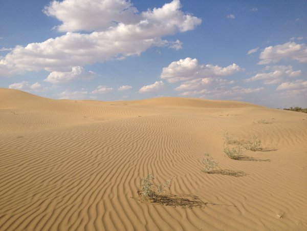 Пустыню месалик