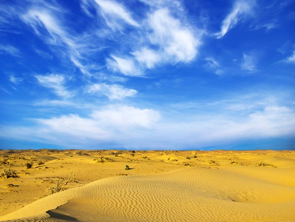 Бархан Сарыкум