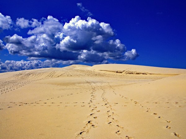 Пустыня в Африке