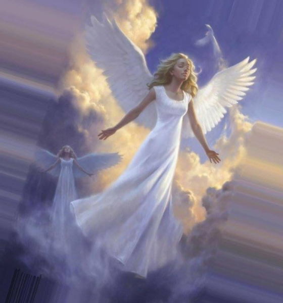 Крылья ангела